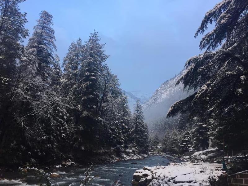 Kasol Camps | Huts & Cottages x Solis Nature