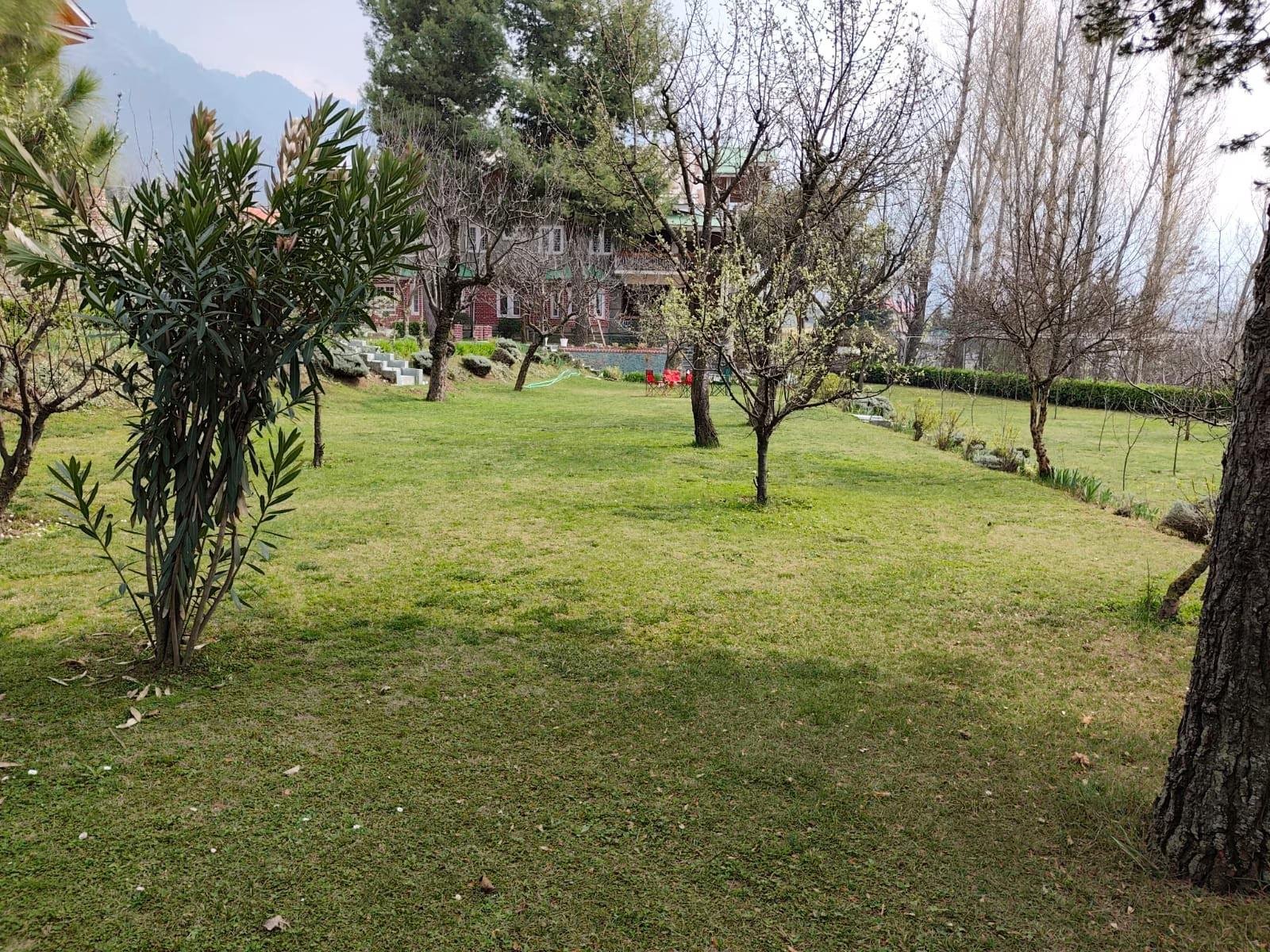 Nature's Harmony near Dal Lake x Solis Nature