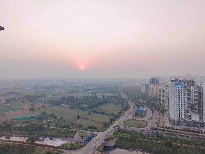 retro.inn/ serviced 1 bhk by mulberry x Solis Nature