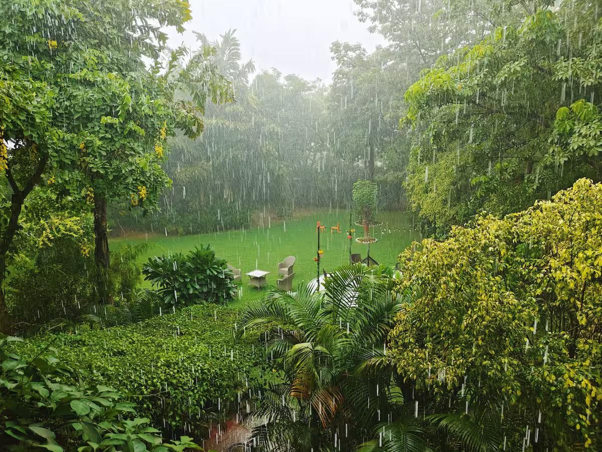 Sukoon Farm - A Lush Green Luxurious Stay (NCR) x Solis Nature