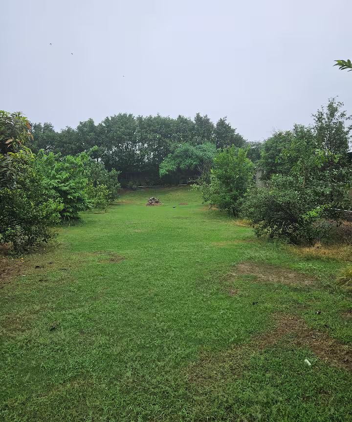 Ekant Farm (NCR) x Solis Nature