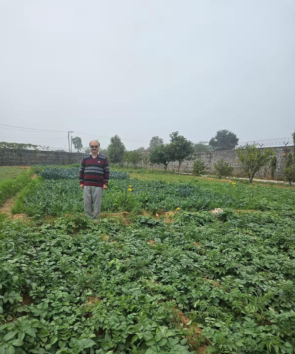 Ekant Farm (NCR) x Solis Nature