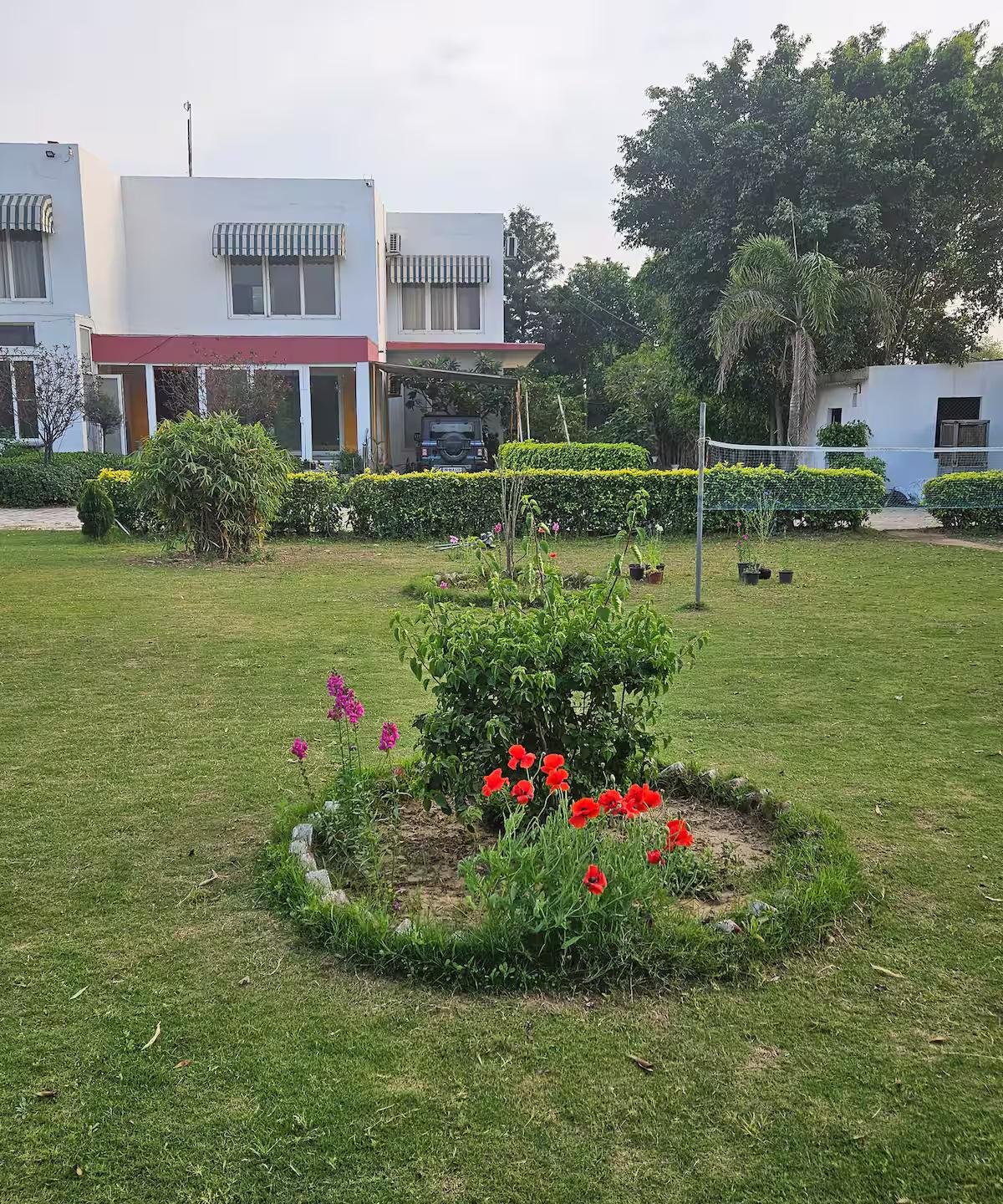 Ekant Farm (NCR) x Solis Nature