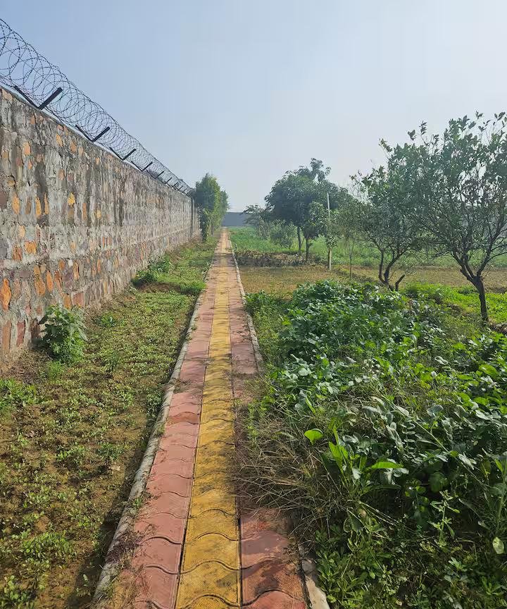 Ekant Farm (NCR) x Solis Nature