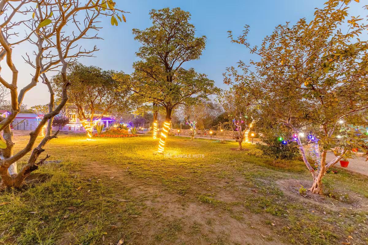 The jungle huts (NCR) x Solis Nature