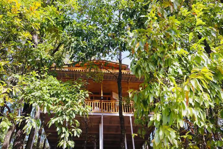 Airva inn (woods cabin) x Solis Nature