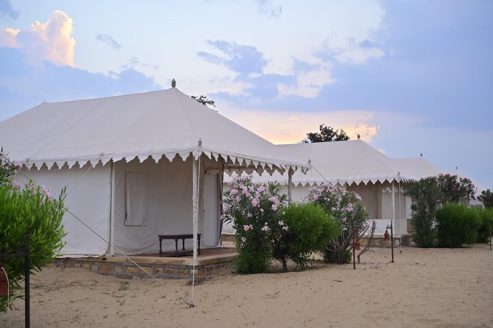 Sunny Desert Camp x Solis Nature
