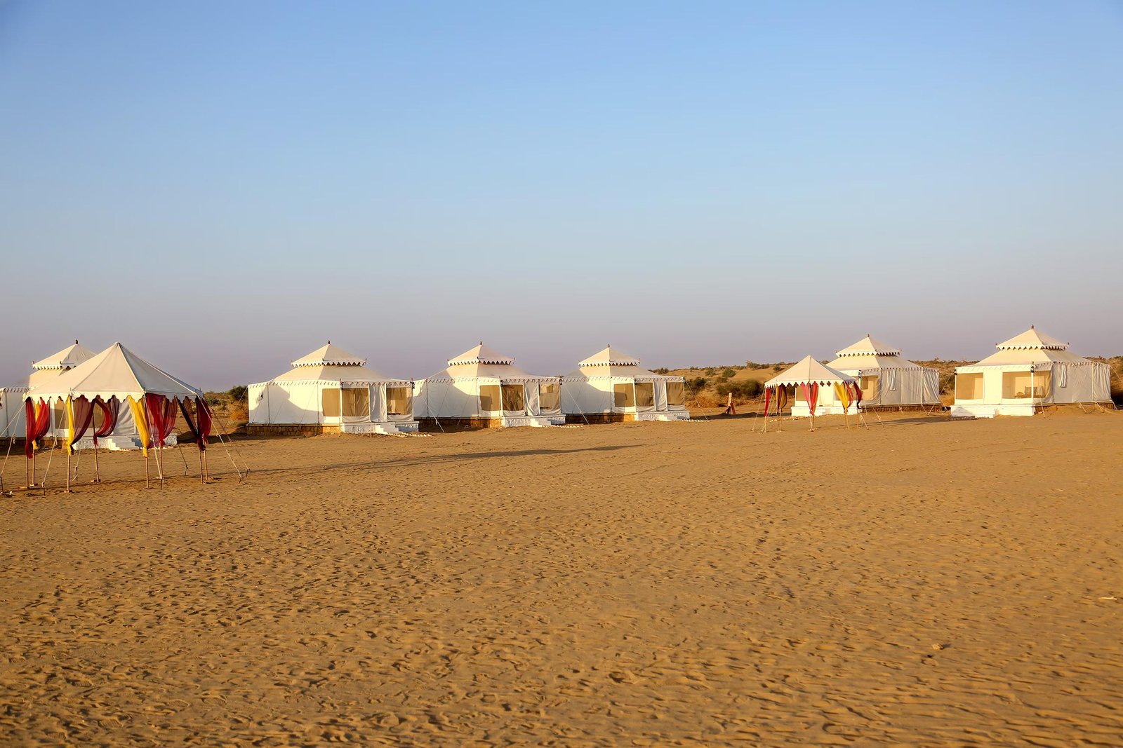 Sunny Desert Camp x Solis Nature