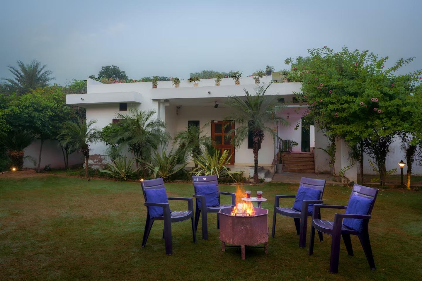 Nasheman FarmStay: The Nest x Solis Nature