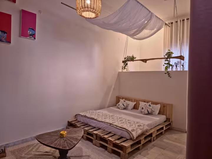 The Muse Studio x Solis Nature