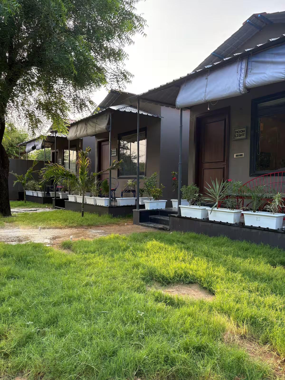 Wooden House Cottage x Solis Nature