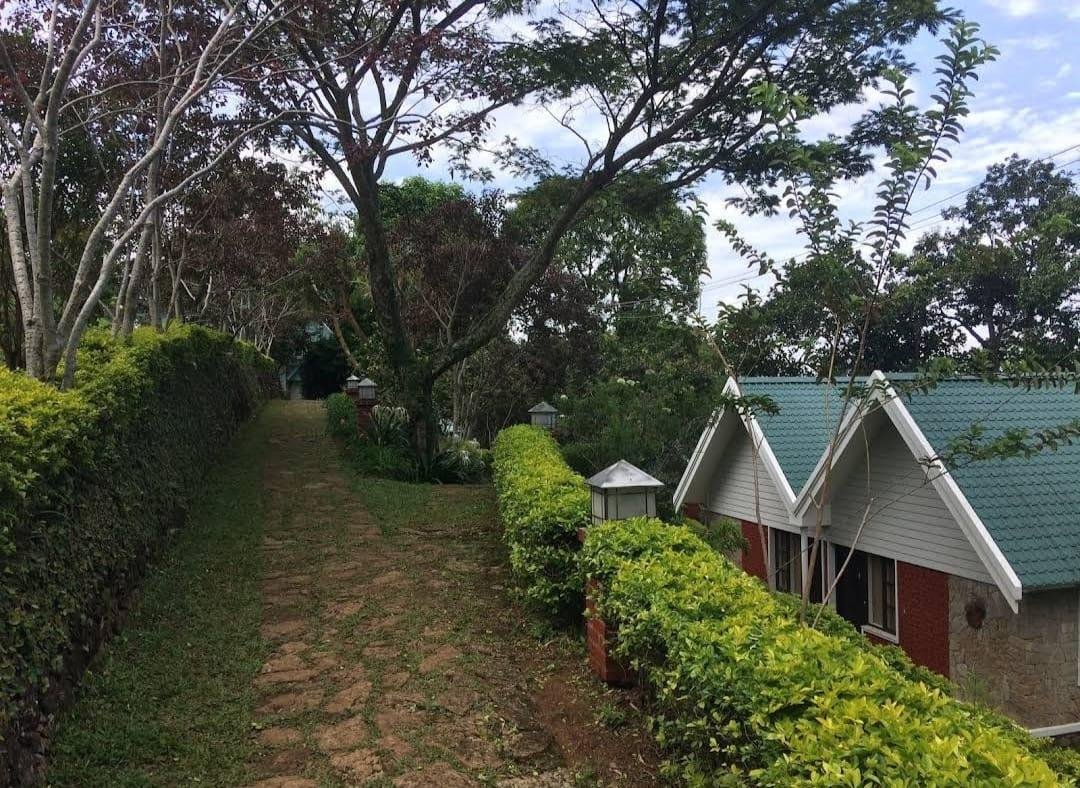 Ambady Estate x Solis Nature