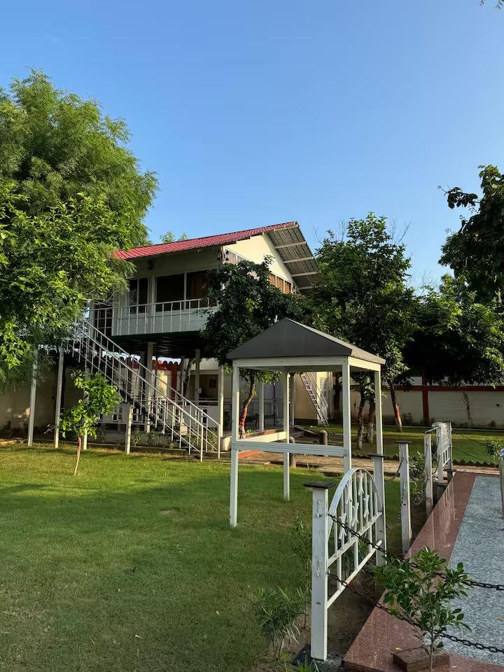 Blue wind TreeHouse x Solis Nature