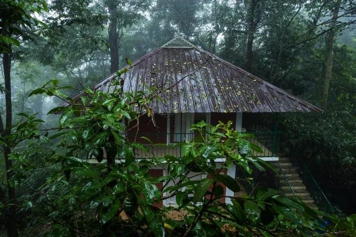 Oxygen Rainforest Resort x Solis Nature