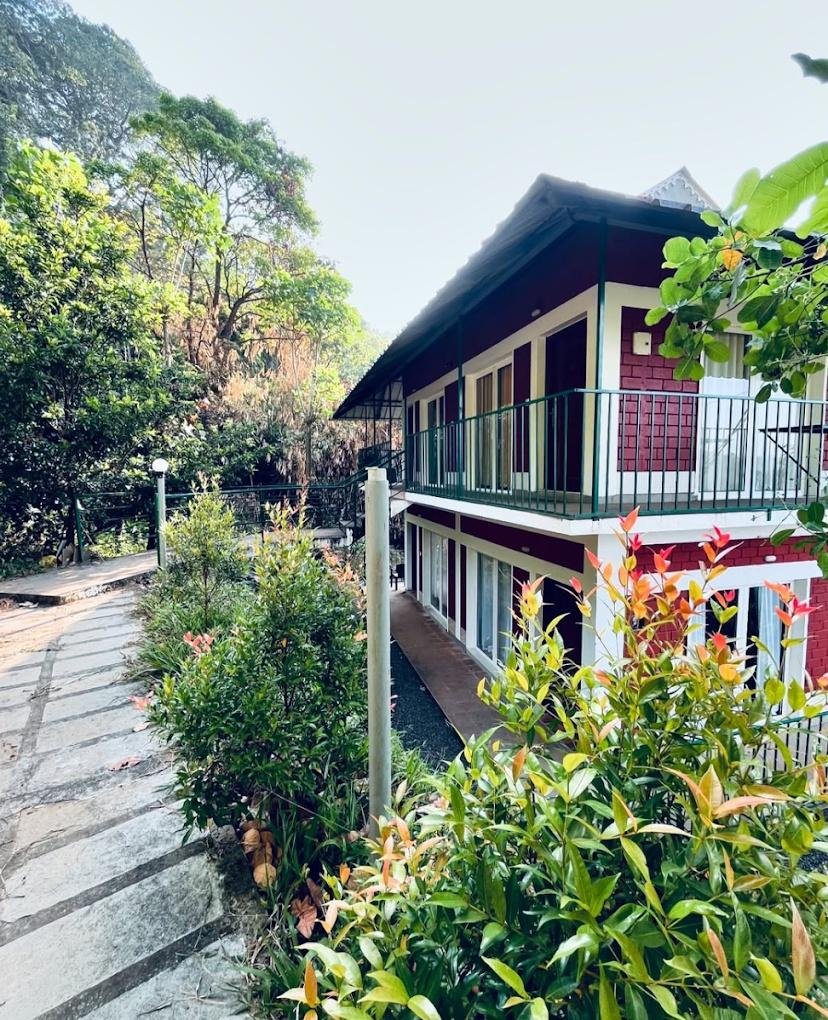 Oxygen Rainforest Resort x Solis Nature