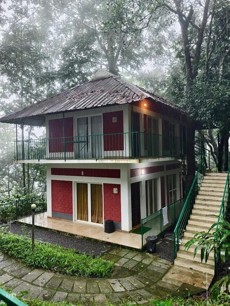 Oxygen Rainforest Resort x Solis Nature