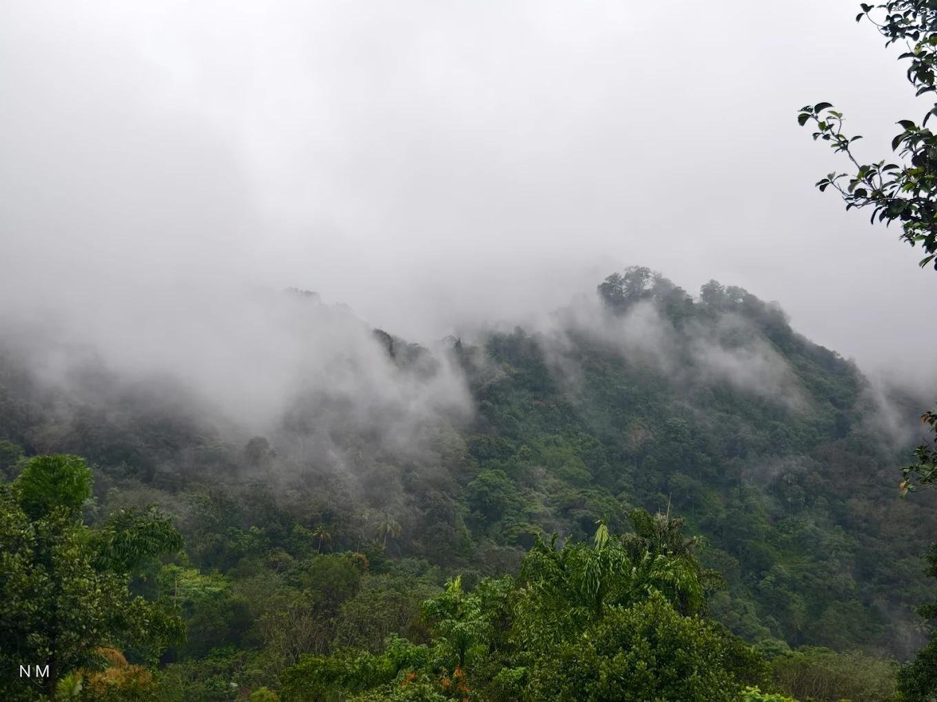 Oxygen Rainforest Resort x Solis Nature