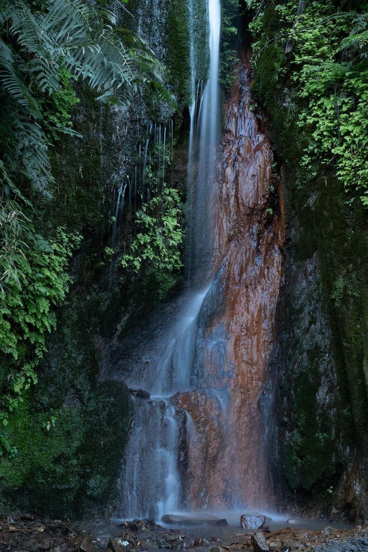 Spacious Waterfall Retreat for Families & Couples x Solis Nature