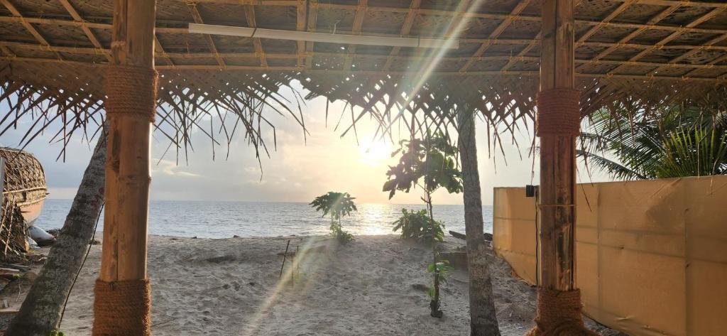 Bliss Beach Villa x Solis Nature
