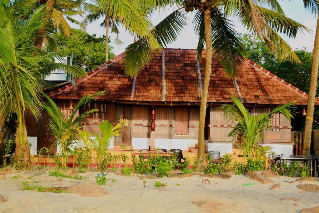 Beachillam x Solis Nature