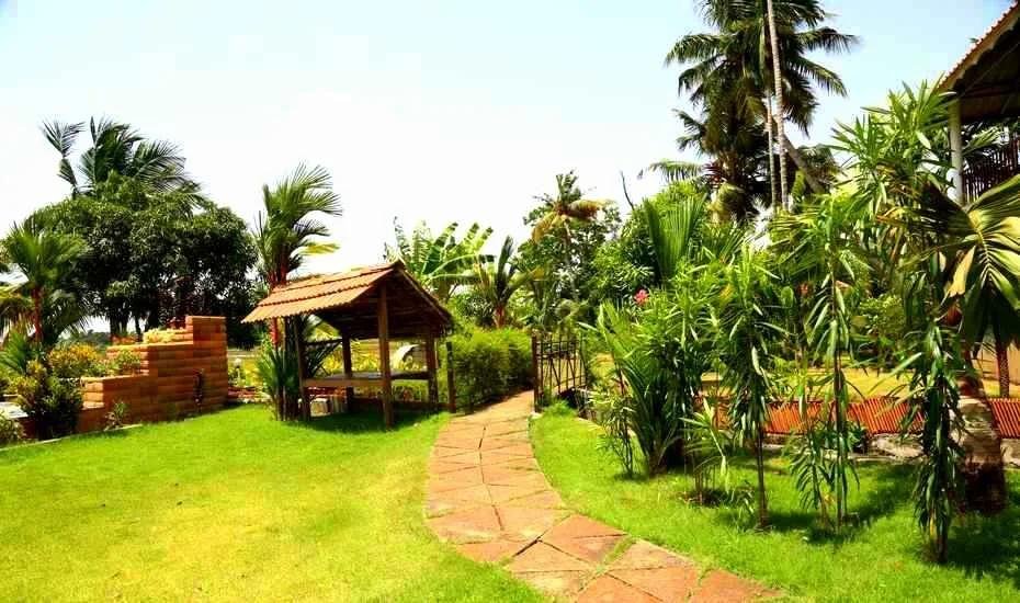The Green Palace Health Resort x Solis Nature