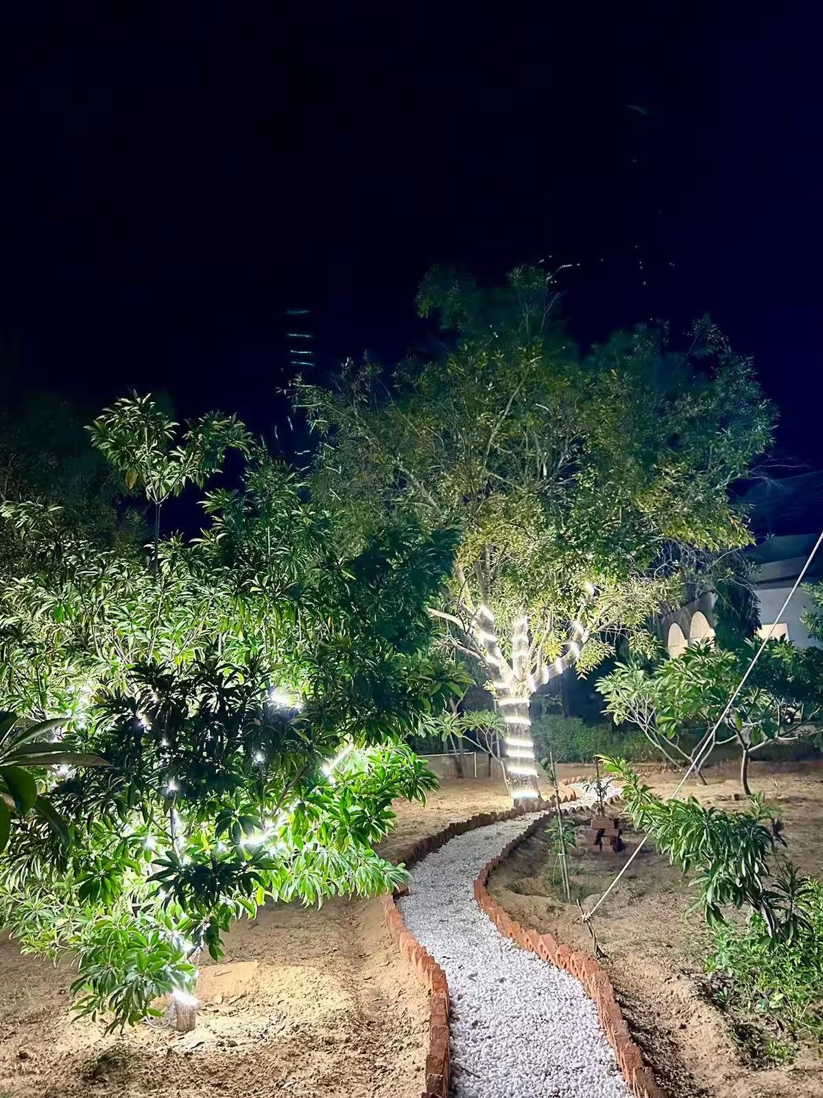 AASRA Farmstay x Solis Nature