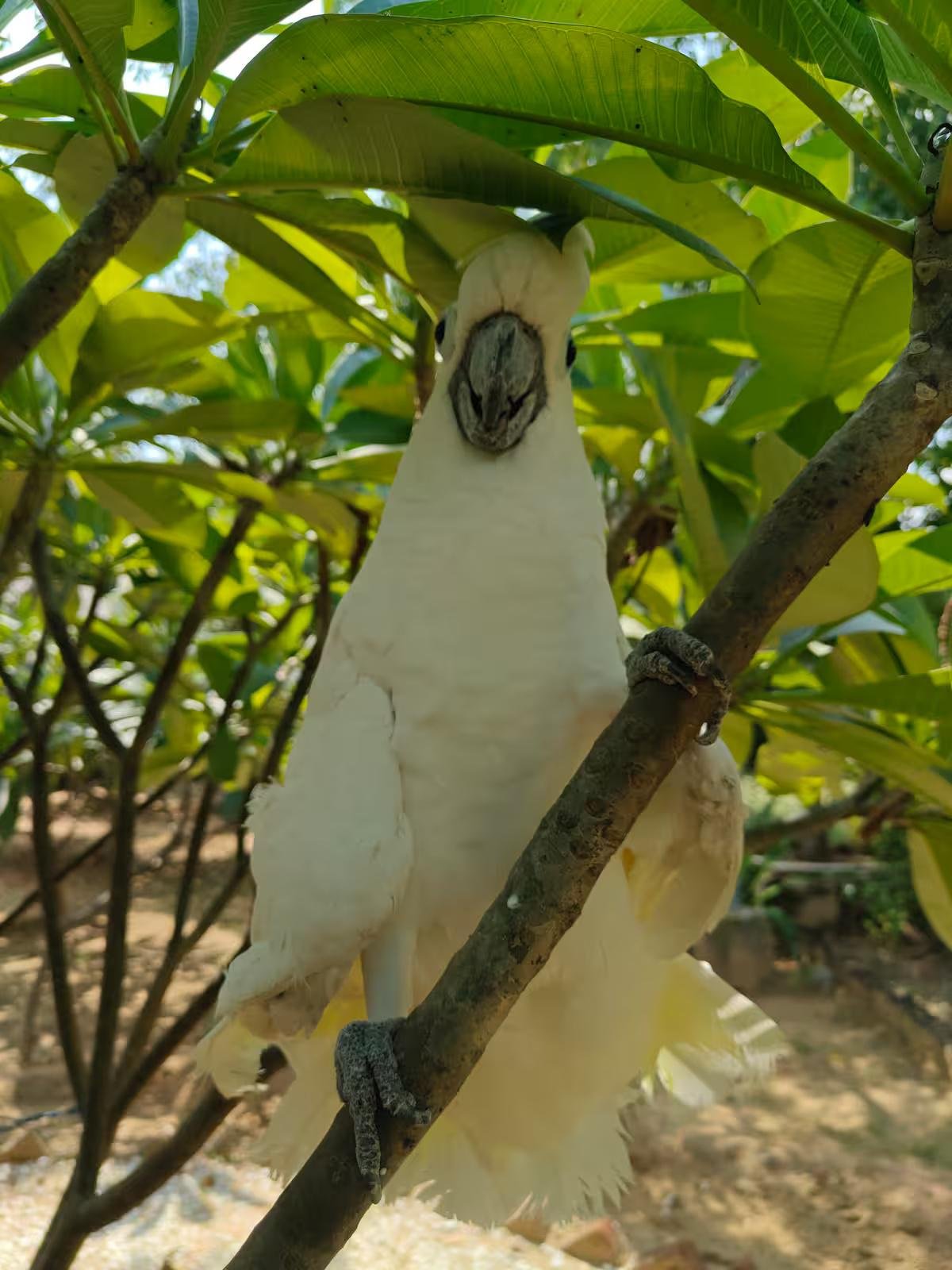 AASRA Farmstay x Solis Nature