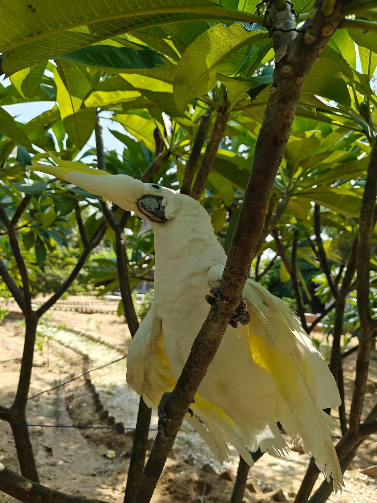 AASRA Farmstay x Solis Nature