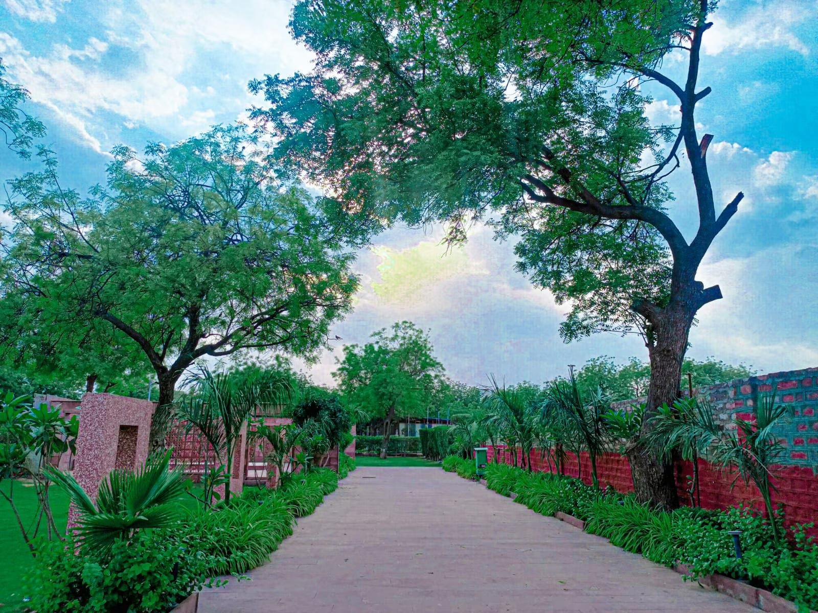 Shree Ram International x Solis Nature