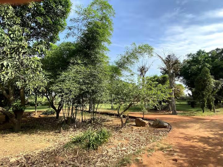 Farm stay in Gurugram | Pet Friendly x Solis Nature