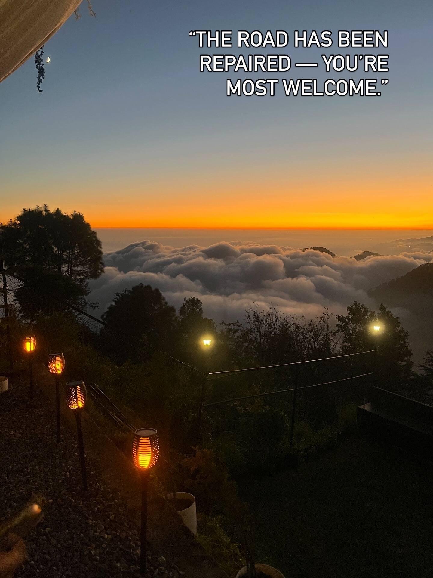 Nest x Solis Nature