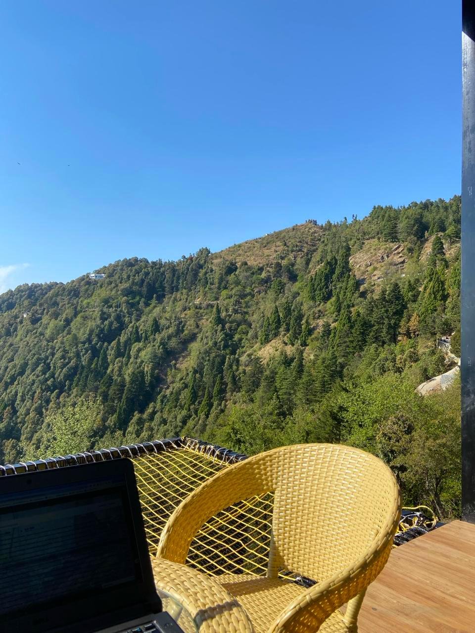 Nest x Solis Nature