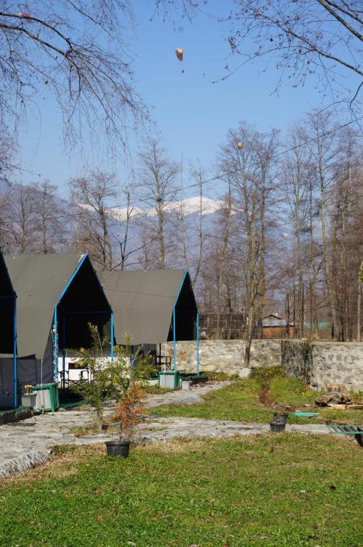 Stargazers Glamping x Solis Nature