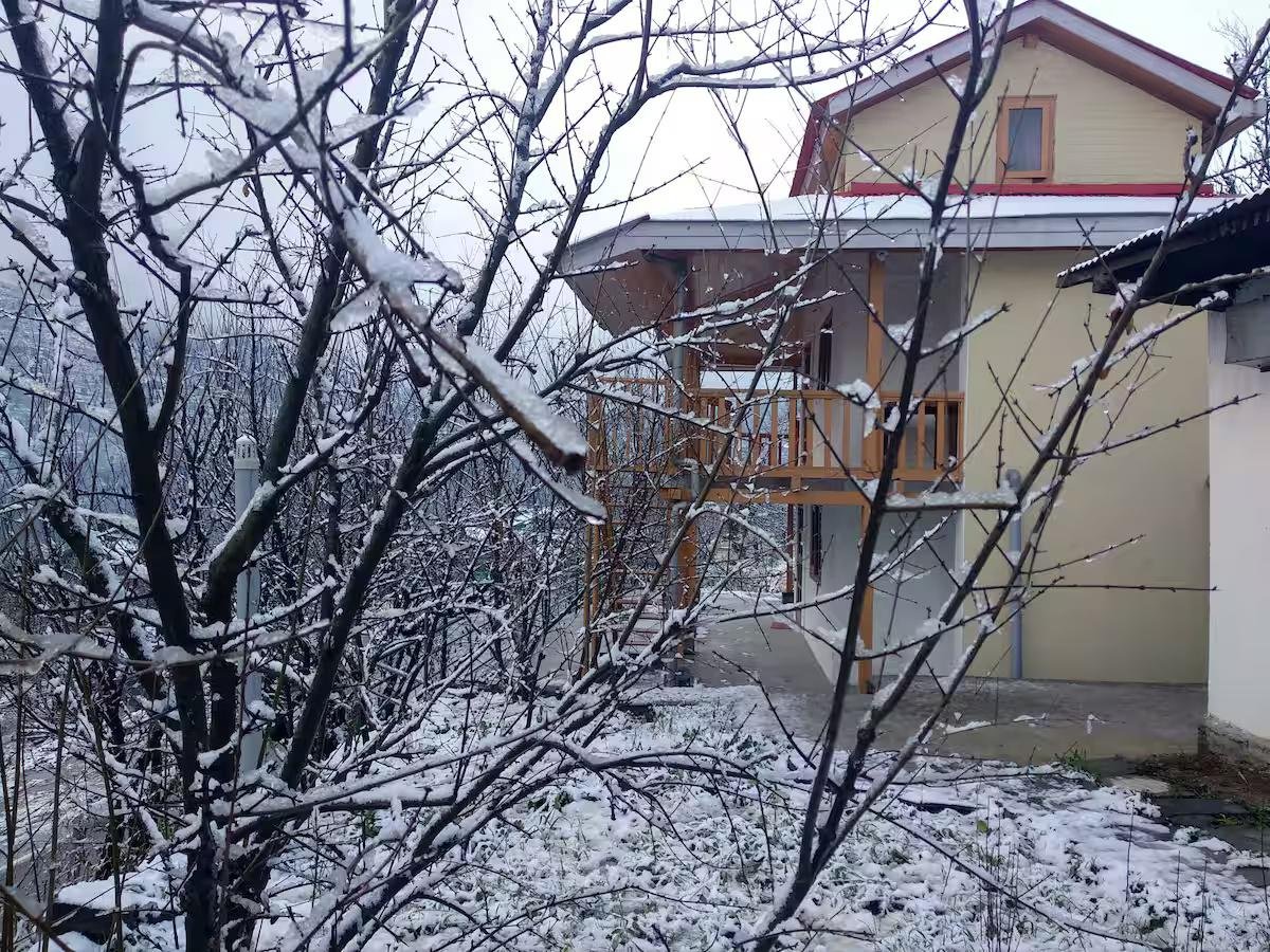 Teja Wooden Cottages- Bandrol x Solis Nature