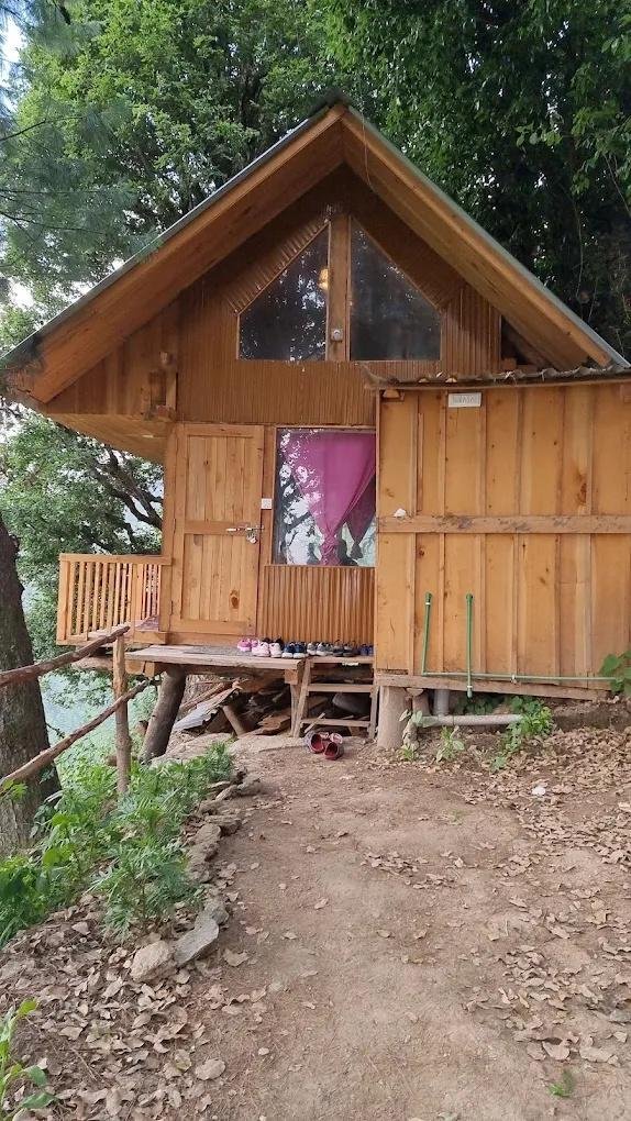 Rustic Treehouse Tandi x Solis Nature