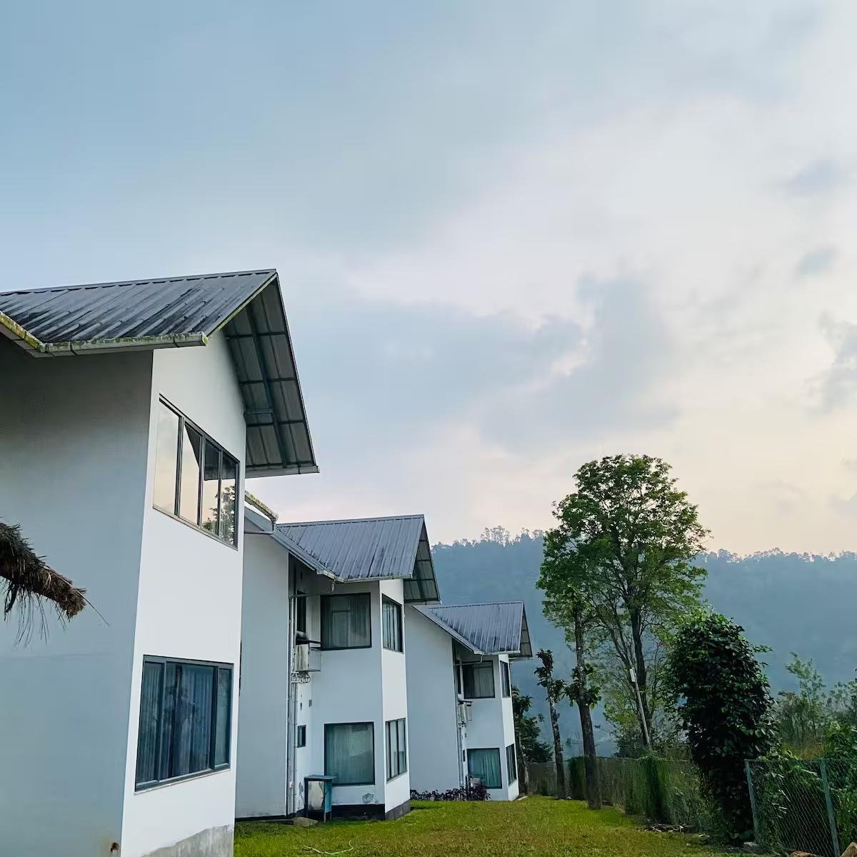 Mannoor Farms Mountain View Stays x Solis Nature
