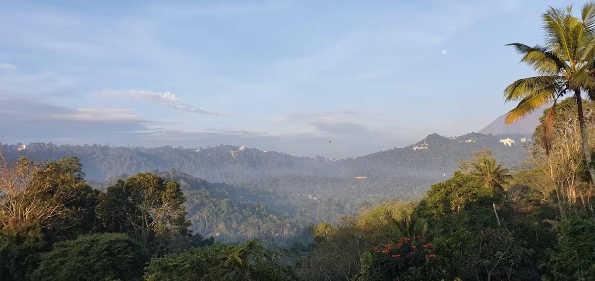 Mannoor Farms Mountain View Stays x Solis Nature