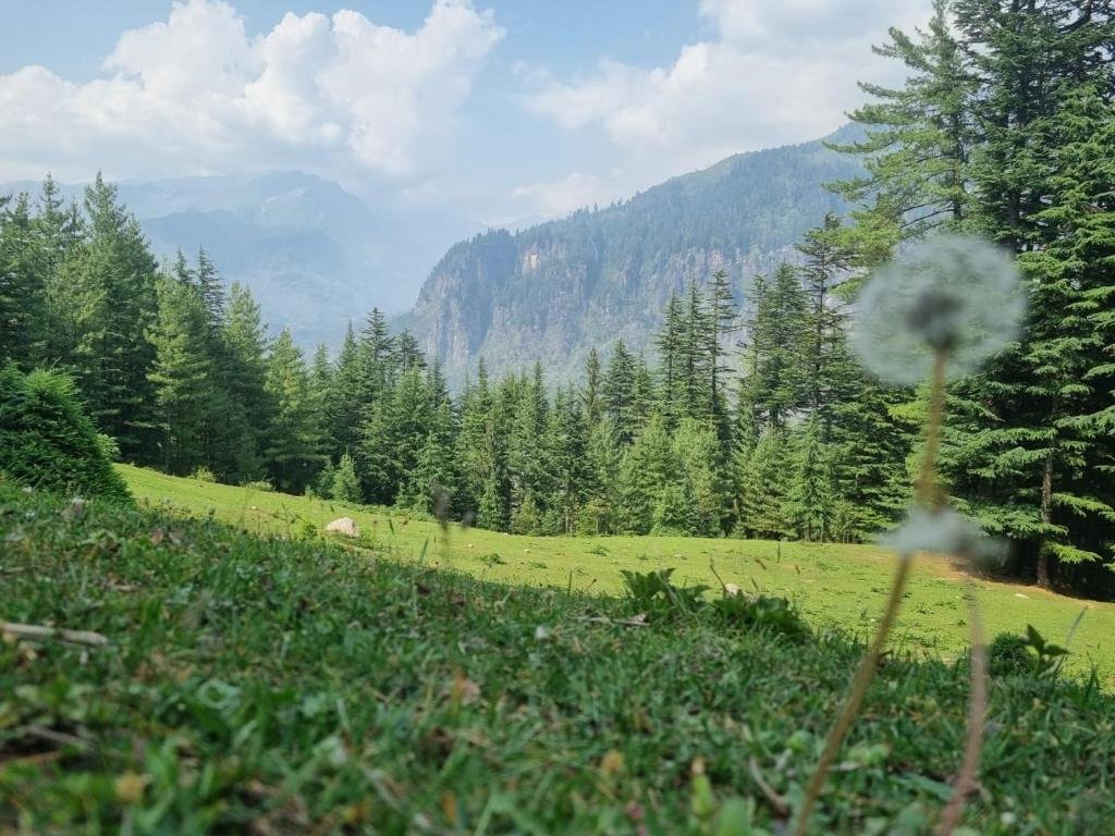 Jankis Commune Manali’s 1st Earthbag mud home x Solis Nature