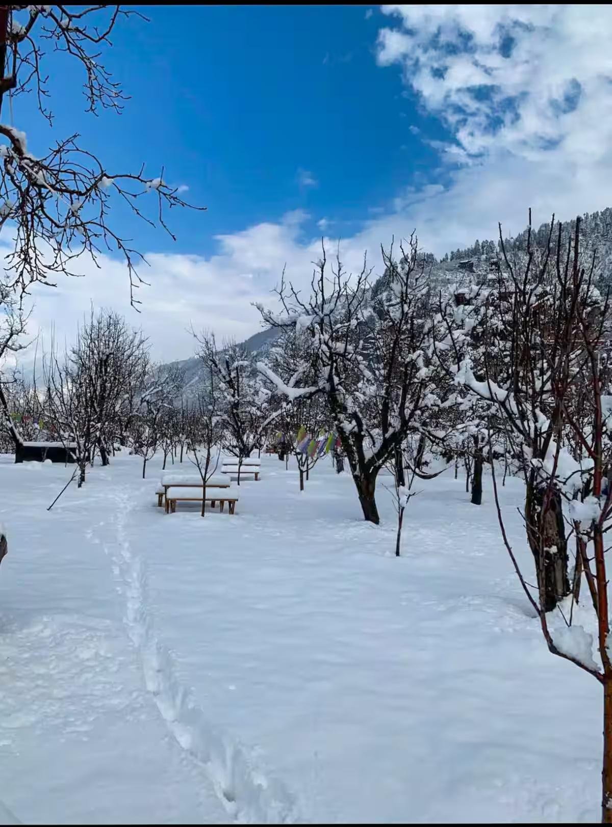 Kahaani | Luxury Wooden Chalet1 in Manali x Solis Nature