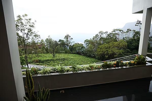 Hills and Heart Luxury stay x Solis Nature