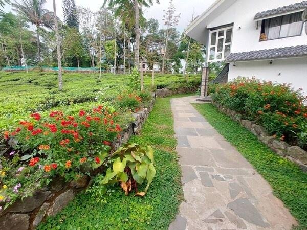 Pekoe Plantation Cottages Kuttikanam x Solis Nature