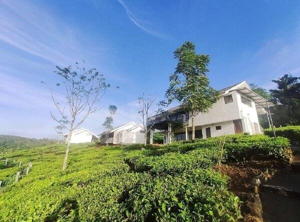 Pekoe Plantation Cottages Kuttikanam x Solis Nature