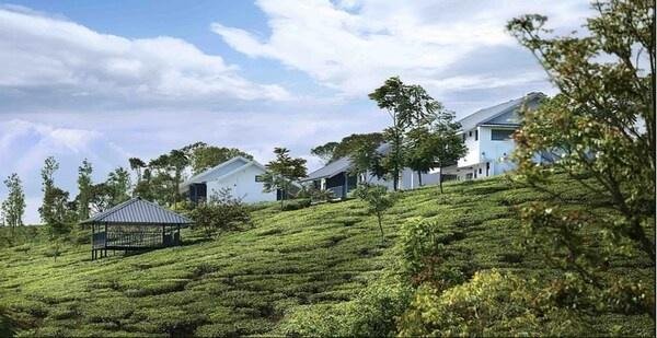 Pekoe Plantation Cottages Kuttikanam x Solis Nature