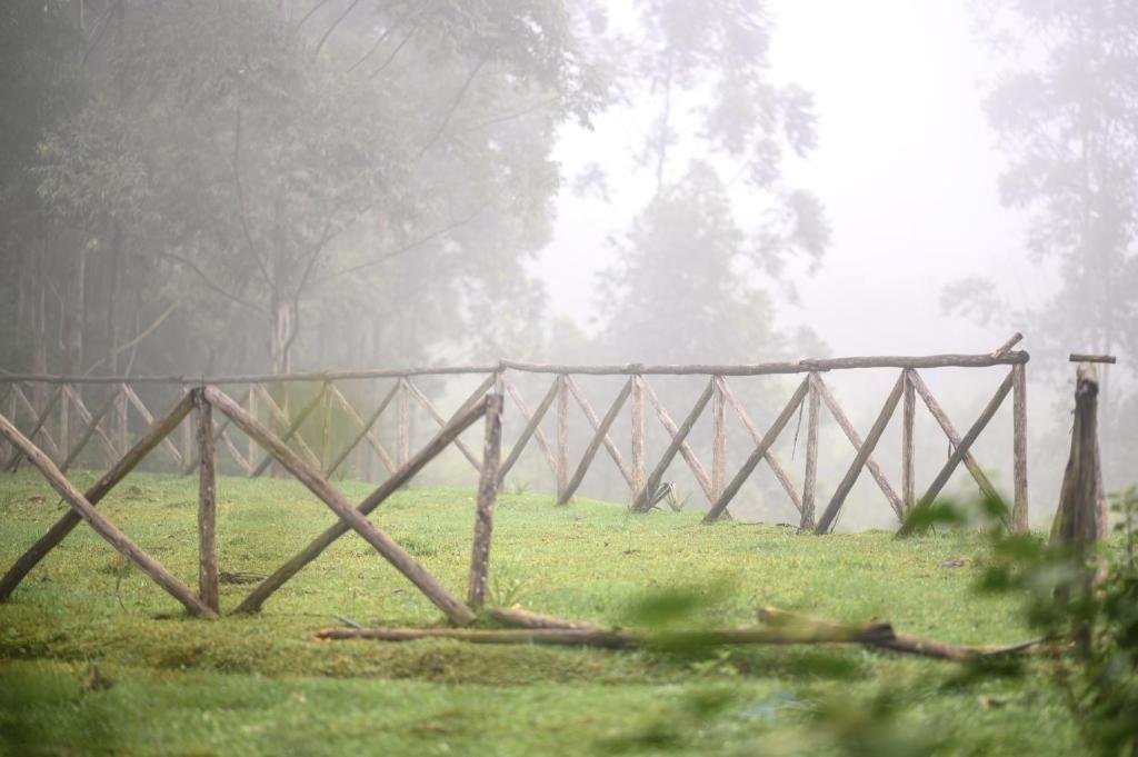 Anandavana Jungle Living By LexStays x Solis Nature