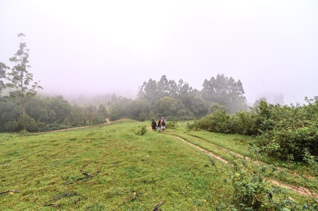 Anandavana Jungle Living By LexStays x Solis Nature