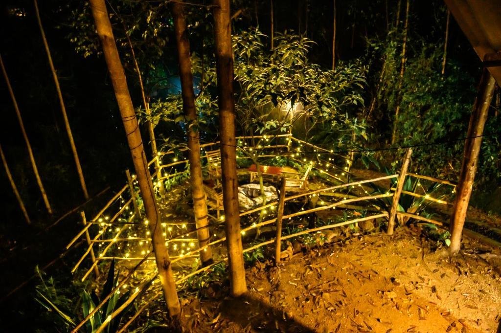 Anandavana Jungle Living By LexStays x Solis Nature