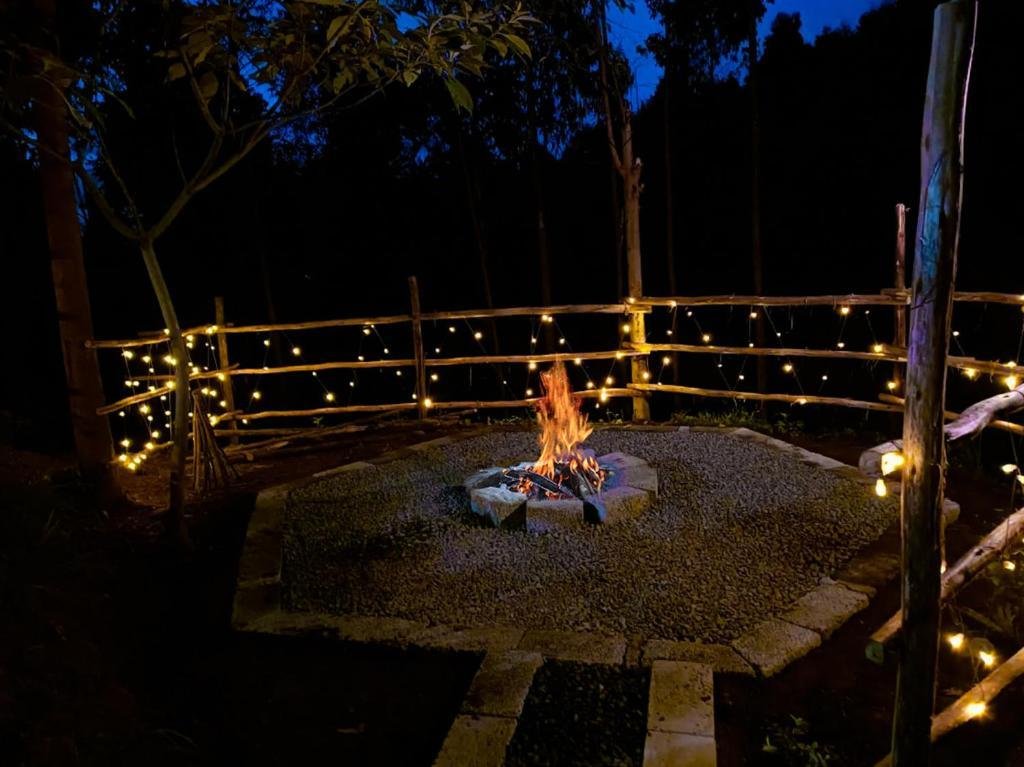 Anandavana Jungle Living By LexStays x Solis Nature