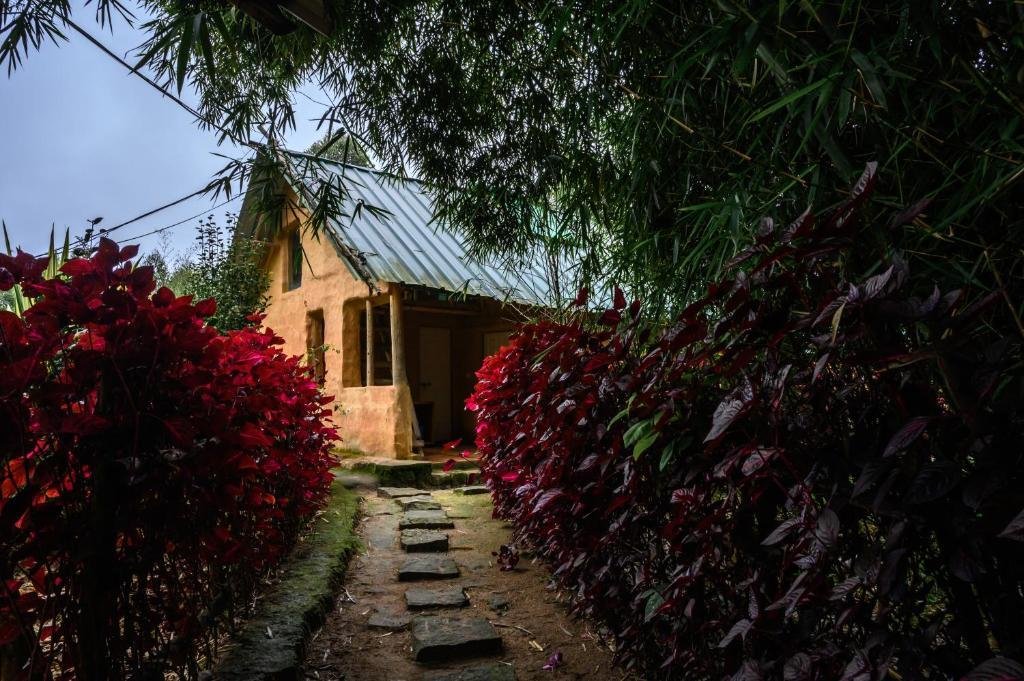 Anandavana Jungle Living By LexStays x Solis Nature