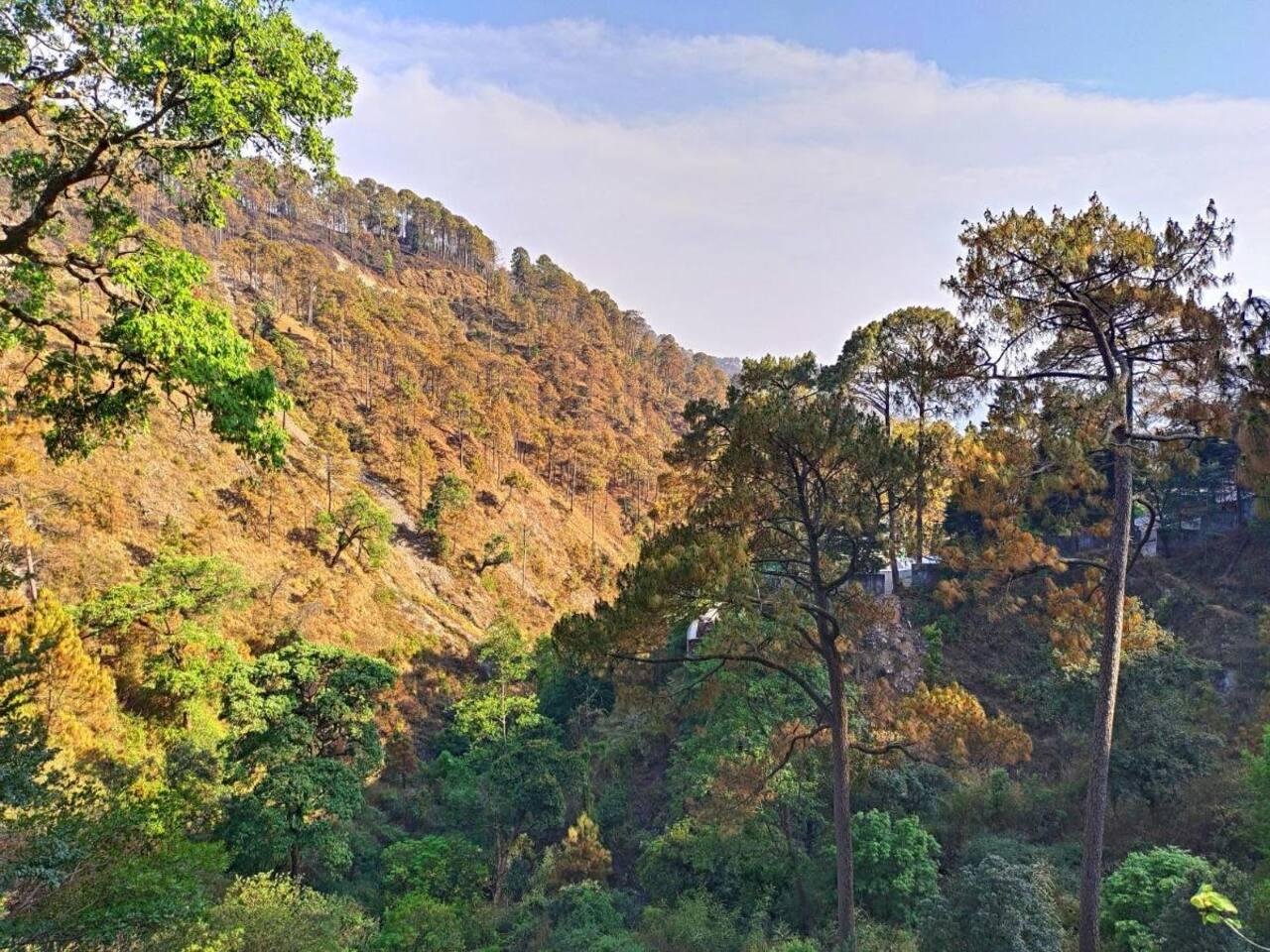 Nature's Vibe Homestay Kainchi Dham-Hillside Home x Solis Nature