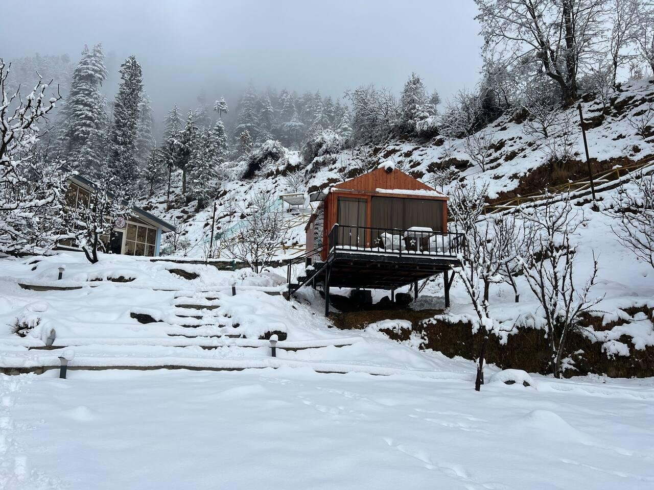 Dreamy Wood n Glass Cabin with Cafe in Forest x Solis Nature